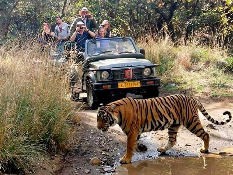 7 Days Golden Triangle Tour with Ranthambore Tiger Safari